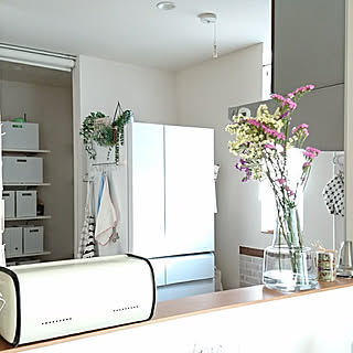 Panasonic パナソニック冷蔵庫のおしゃれなアレンジ・飾り方の Panasonic パナソニック冷蔵庫のおしゃれなアレンジ・飾り方の