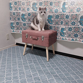 スペイン風のインテリア実例 Roomclip ルームクリップ