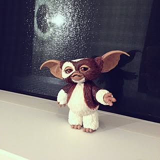 フィギュア ギズモのおしゃれなアレンジ 飾り方のインテリア実例 Roomclip ルームクリップ