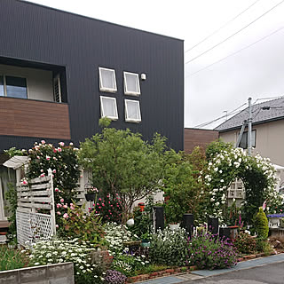 ダフネのインテリア実例 Roomclip ルームクリップ ダフネのインテリア実例 Roomclip ルームクリップ