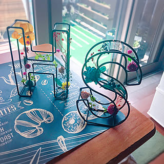 ダイソーアイアンのインテリア実例 Roomclip ルームクリップ