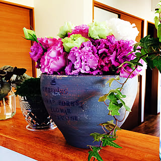 クッションモスのインテリア実例 Roomclip ルームクリップ クッションモスのインテリア実例 Roomclip ルームクリップ