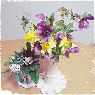 沈丁花 いい香り のインテリア実例 Roomclip ルームクリップ 沈丁花 いい香り のインテリア実例 Roomclip ルームクリップ