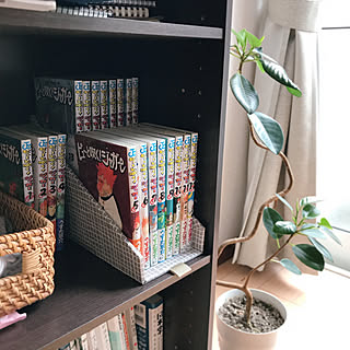 賃貸 漫画収納のインテリア レイアウト実例 Roomclip ルームクリップ