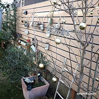 セリア/ダイソー/ウッドフェンス/ウッドフェンスDIY/人工木フェンス...などのインテリア実例 - 2016-12-17 18:29:58