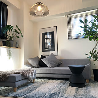 一人暮らし/男前/モノトーン/リビング/観葉植物...などのインテリア実例 - 2019-11-29 13:00:28