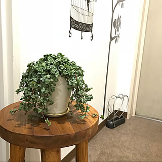 玄関/入り口/いつもいいね!ありがとうございます♪/買ったもの/雑貨/植物...などのインテリア実例 - 2018-03-05 18:49:02