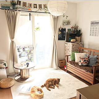 リビング/ケーブルドラム/クッション/ニトリ/ねこ部...などのインテリア実例 - 2017-11-06 13:07:09