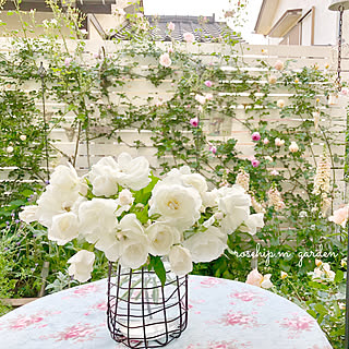 リビング/DIY女子/ハーブ大好き/ガーデニング/DIY...などのインテリア実例 - 2018-05-11 21:58:42