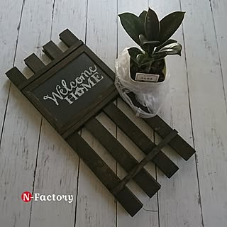机/DIY/セリア/グリーンのある暮らし/ゴムの木...などのインテリア実例 - 2017-03-21 07:14:42