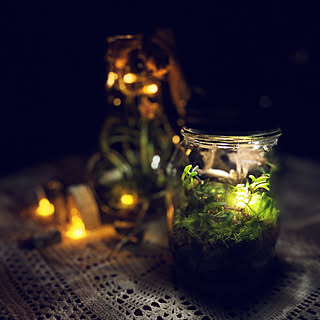 机 苔テラリウムのインテリア実例 Roomclip ルームクリップ