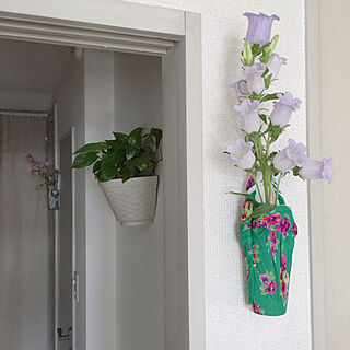 壁掛け花瓶のインテリア実例 Roomclip ルームクリップ