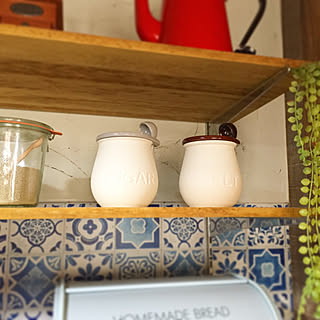 サラサラお塩の素焼きポットのインテリア実例 Roomclip ルームクリップ