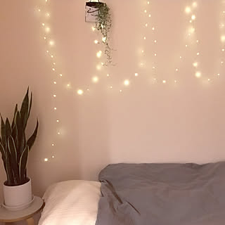 観葉植物 フェアリーライトのインテリア実例 Roomclip ルームクリップ
