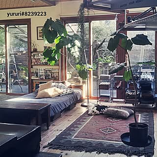 部屋全体/DIY机/見せる収納/ラグ/本棚...などのインテリア実例 - 2015-01-11 12:03:59