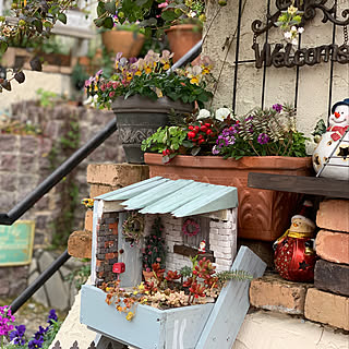 ピンコロ石花壇diy/クリスマス/ハンドメイド/ガーデニング/DIY女子...などのインテリア実例 - 2019-12-22 20:29:27