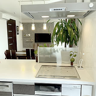 コンロ周り/IH/コンロ/キッチンのインテリア実例 - 2019-10-08 17:02:24