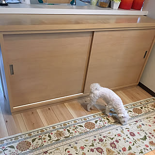 キッチン/カウンター下収納/食器棚/引き戸/造り付けの食器棚のインテリア実例 - 2017-08-31 14:56:04