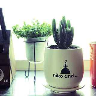 ニコアンド風のインテリア実例 Roomclip ルームクリップ