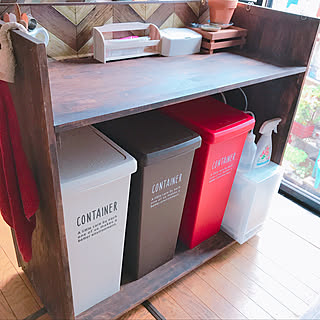 キッチン/ゴミ箱/30ℓ/ニトリ/カウンターDIY...などのインテリア実例 - 2018-06-26 09:42:07