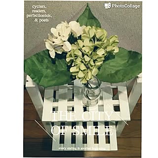 バス/トイレ/あじさいフェイク♥/¥100⇒紫陽花♥/カメラ機能アレンジ♥/★ホットユーザー⇒Thank you!★...などのインテリア実例 - 2017-06-28 21:09:45