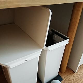 キッチン/ゴミ箱/モノトーン/カウンター下のインテリア実例 - 2016-12-25 09:09:32