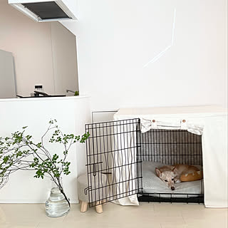 ケージカバーのインテリア実例 Roomclip ルームクリップ