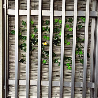 団地 すだれのインテリア レイアウト実例 Roomclip ルームクリップ