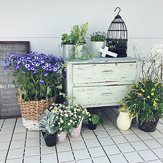 玄関/入り口/フレンチガーデンに憧れる/hinAちゃんの作品♡/ダルトン 籠/アンティーク雑貨...などのインテリア実例 - 2018-03-12 12:45:01