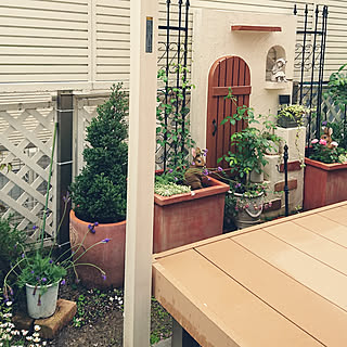 玄関/入り口/お庭です/花散らしの雨/風邪引いちゃった(^^;/2019・4・24のインテリア実例 - 2019-04-24 12:58:26