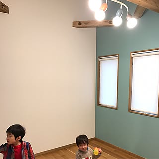 部屋全体/ロールスクリーン/勾配天井/アクセントクロス/スキップフロア...などのインテリア実例 - 2017-04-03 22:15:35