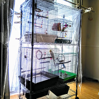 鳥かご セキセイインコのおしゃれなアレンジ 飾り方のインテリア実例 Roomclip ルームクリップ