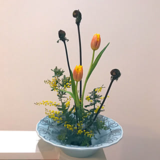 チューリップ 生け花のインテリア実例 Roomclip ルームクリップ