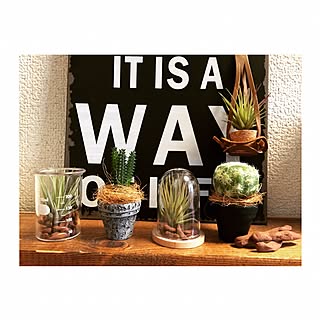 机/フェイクグリーン/ニコアンド/ニコガチャグリーン/雑貨...などのインテリア実例 - 2016-03-17 12:00:47