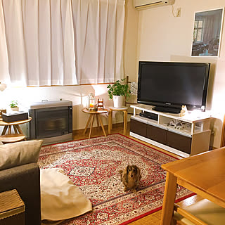 ニトリ ペルシャ絨毯風のインテリア実例 Roomclip ルームクリップ
