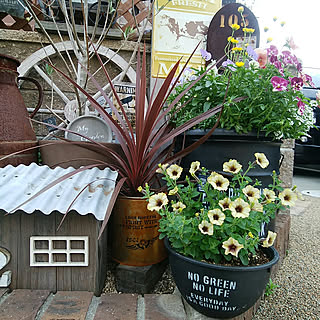 玄関/入り口/いいね&フォローありがとうございます☆/RCの出会いに感謝♡/賃貸でも楽しく♪/100均...などのインテリア実例 - 2018-05-18 22:58:10