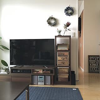 チランジア エアープランツ/プロテア/ドライフラワー/セリア/ネームプレート...などのインテリア実例 - 2019-05-21 08:30:20