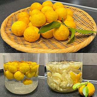 庭の柚子のインテリア実例 Roomclip ルームクリップ