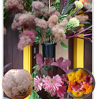 開店祝いのお花のインテリア実例 Roomclip ルームクリップ