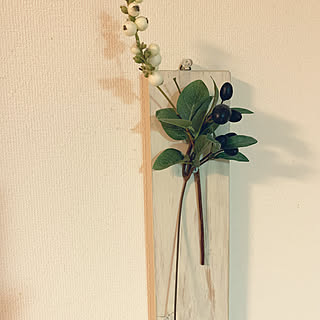 フェイクグリーン/ハンドメイド/カフェ風/リビングのインテリア実例 - 2020-02-24 22:10:50