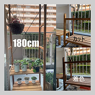 花台diy Diy ベランダ 観葉植物 棚のインテリア実例 21 01 25 12 24 43 Roomclip ルームクリップ