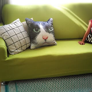 しまむら 猫クッションの商品を使ったおしゃれなインテリア実例 Roomclip ルームクリップ