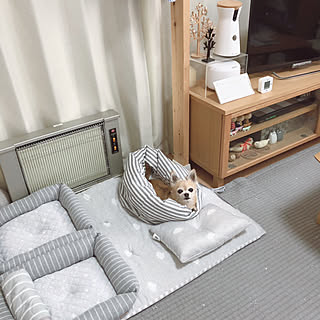 ペットベッド Nクールのインテリア実例 Roomclip ルームクリップ
