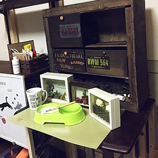 机/セリアのコレクションケース/いつもいいね!ありがとうございます♪/ふぇいくグリーン/どこに飾ろう?...などのインテリア実例 - 2017-01-29 22:29:04