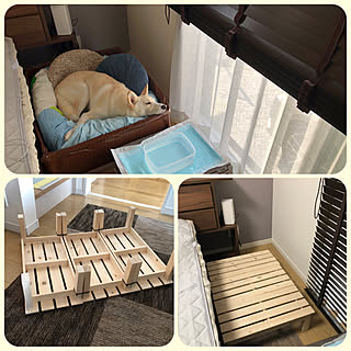 Diy 犬のベッドのインテリア 手作りの実例 Roomclip ルームクリップ Diy 犬のベッドのインテリア 手作りの実例 Roomclip ルームクリップ