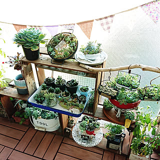 さんま缶リメイクのインテリア実例 Roomclip ルームクリップ