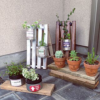 観葉植物 和風な玄関のインテリア実例 Roomclip ルームクリップ
