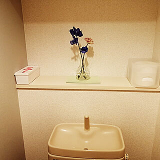 バス/トイレ/IKEA/北欧/フラワーベース/お花のある暮らし...などのインテリア実例 - 2021-02-22 21:39:03