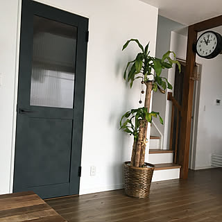 ドラセナ 幸福の木のインテリア実例 Roomclip ルームクリップ