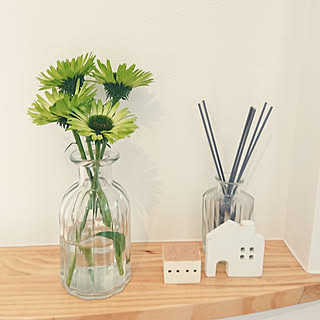 エキナセア グリーンジュエルのインテリア実例 Roomclip ルームクリップ エキナセア グリーンジュエルのインテリア実例 Roomclip ルームクリップ
